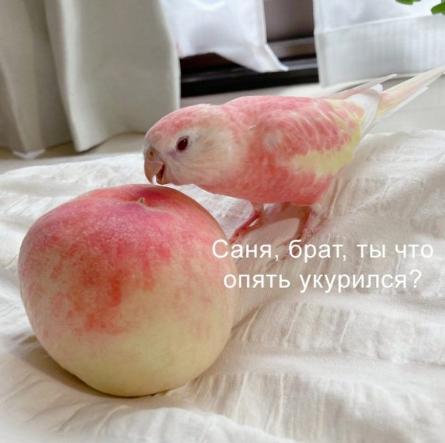 Картинки и мемы для настроения - 03