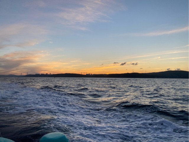 Дары моря