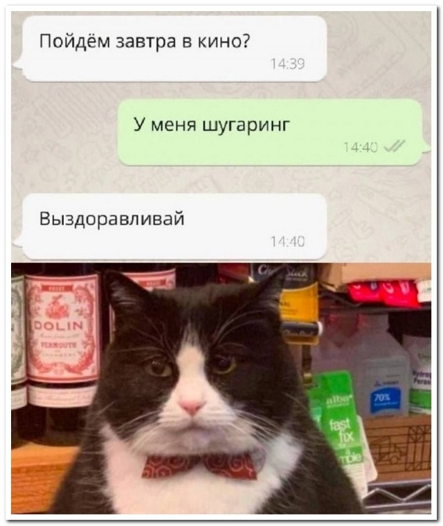 Забавные комментарии из социальных сетей (12.09.22)