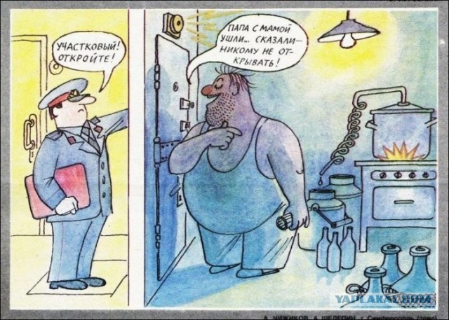 Лааадно, сиди дома, квартирант