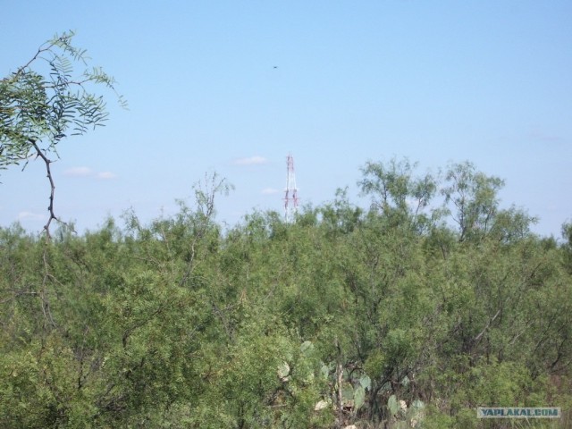 Фотоотчет по штату Техас + музей NASA