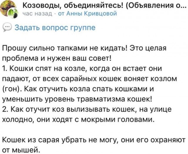 "Так что теперь? Кошек не нюхать?"