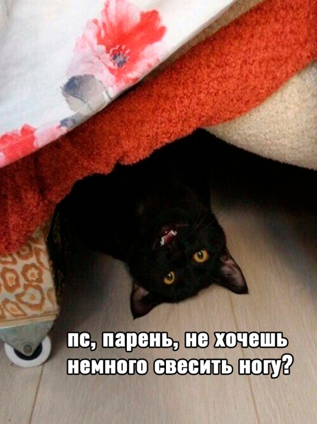 Так себе картинки 17.01.23