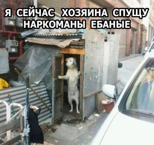Так себе картинки 01.02.23