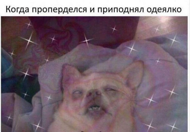 Что там за звуки такие?