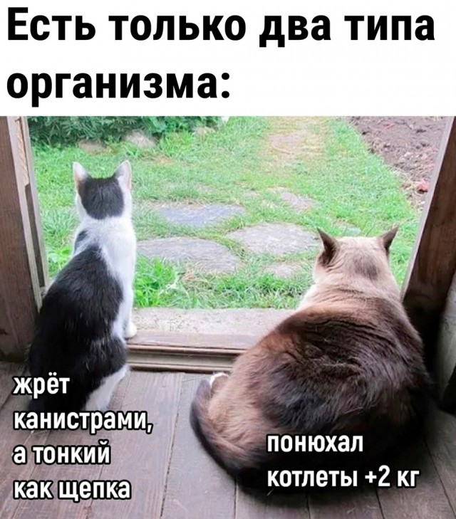 Так себе картинки 03.05.23