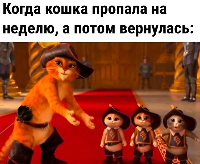 Так себе картинки 14.05.23