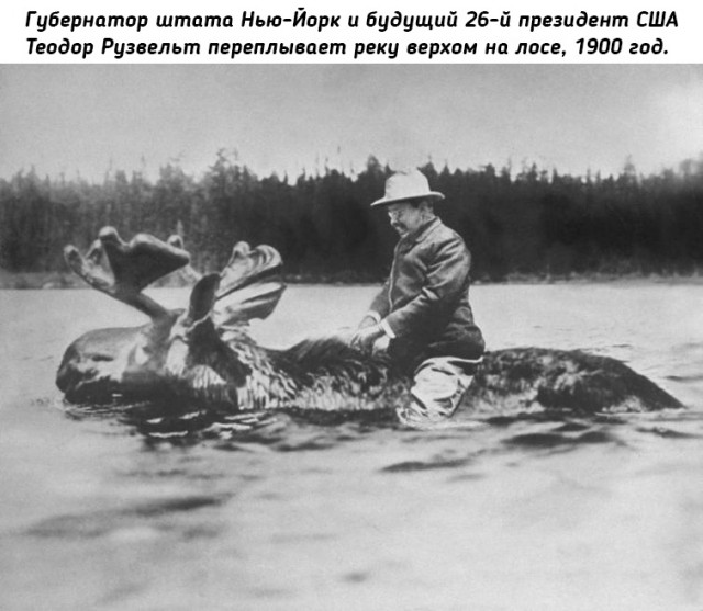 Небольшая подборка исторических фото (15.08)