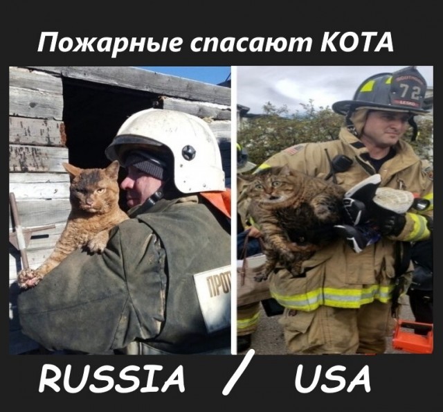 Хорошие новости