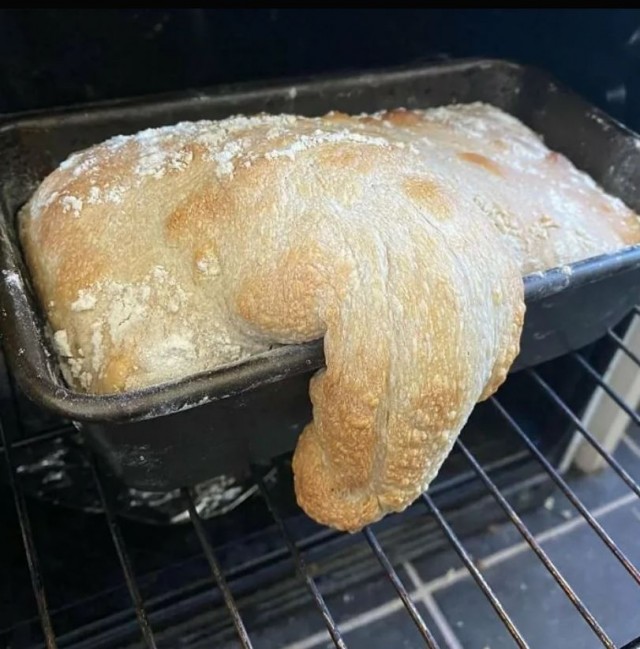Химия и жизнь