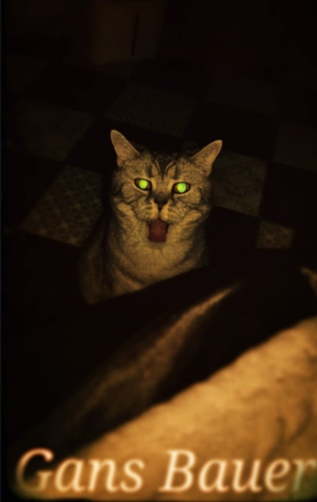 Юбилей кота 09.ХII.2013