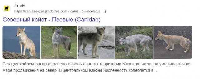 Звериная тропа