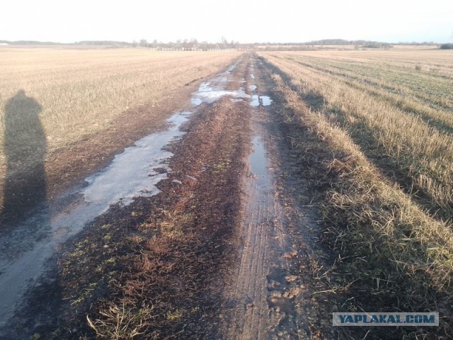 Жизнь домашнего приюта для котеек 483