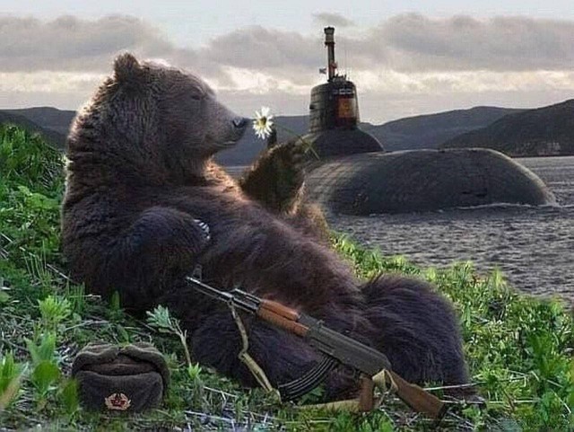Футбол Спартак