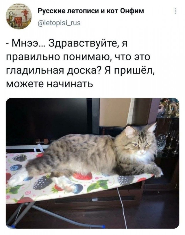 Так себе картинки 23.05.24