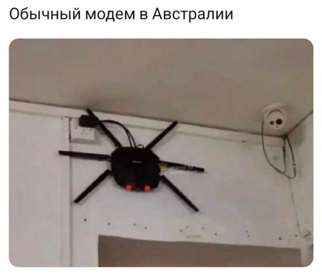 Всего понемногу. От 08.07