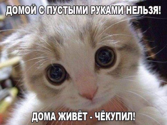 Сборник бабаянов и т.д. и т.п.