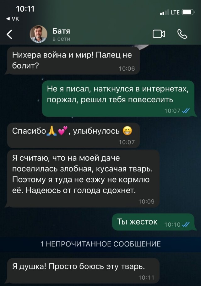 Дачная амнистия