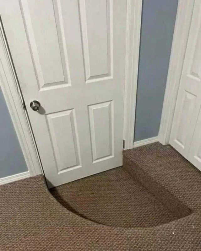 16 фотографий на которых творится какая то дичь
