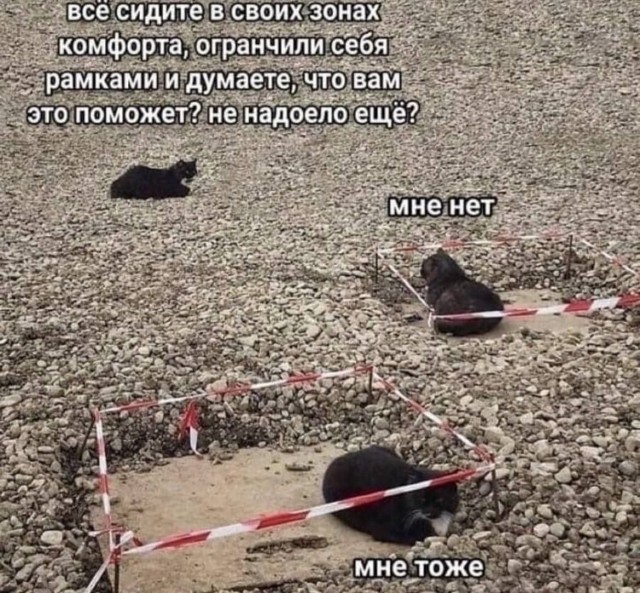 Это не меня заперли с вами, это вас заперли со мной