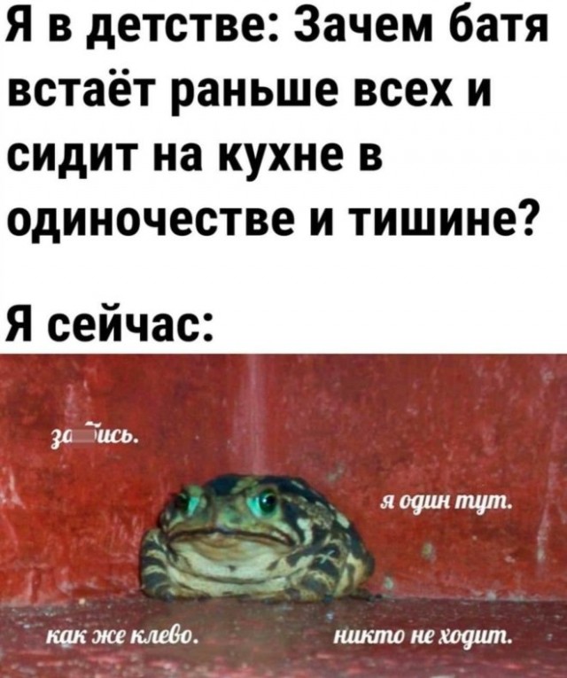 Веселые картинки в понедельник (24.03)