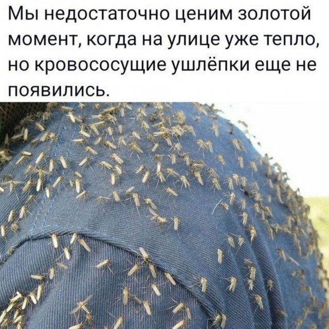 Маленькая пятница 21.05.25