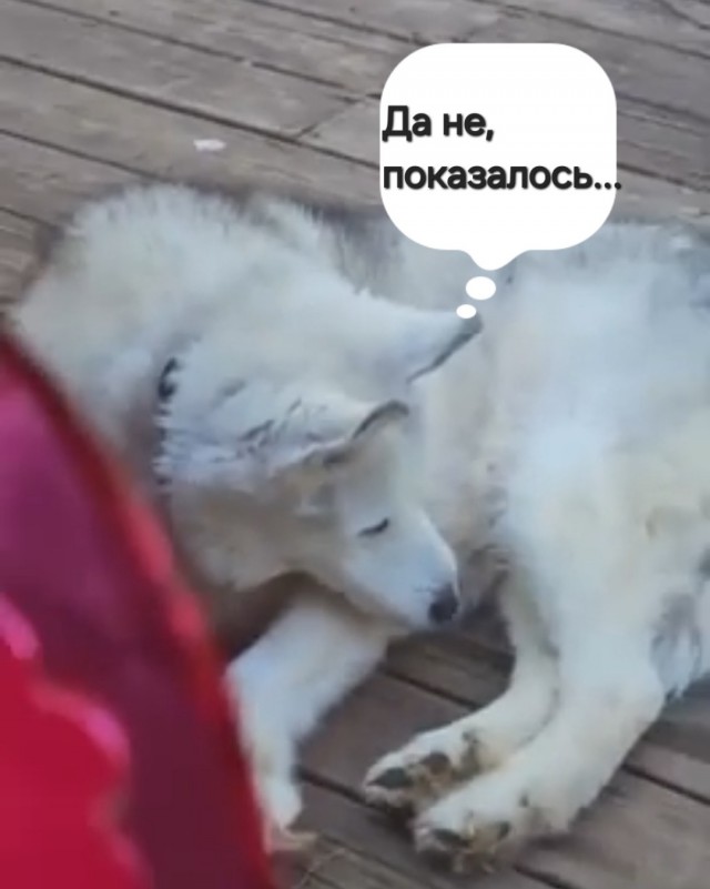 Стройматериалы напрямую от производителя, без посредников.