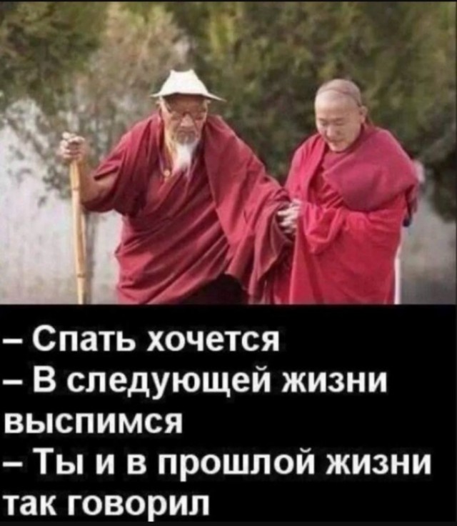 Немного забавных картинок от 14.06.2025