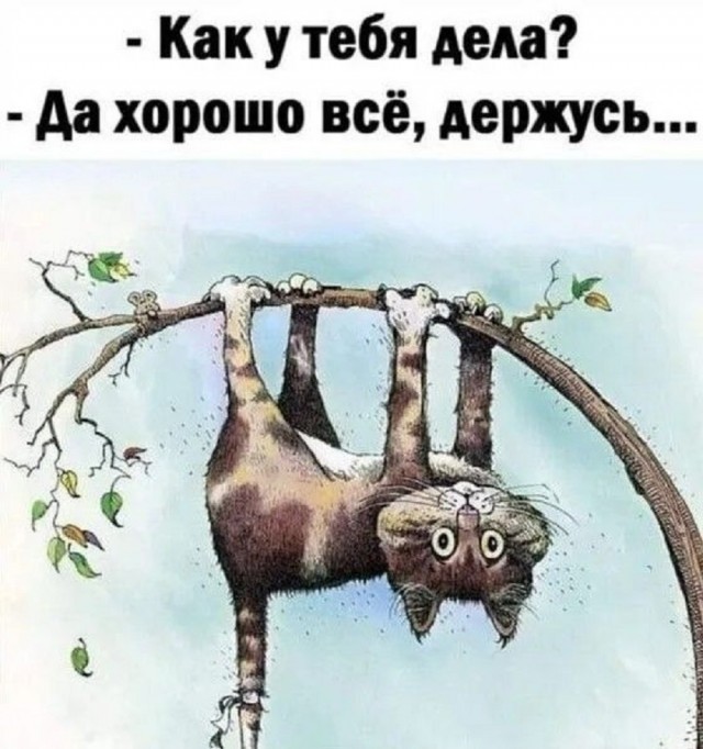 Так себе картинки 16.10.25