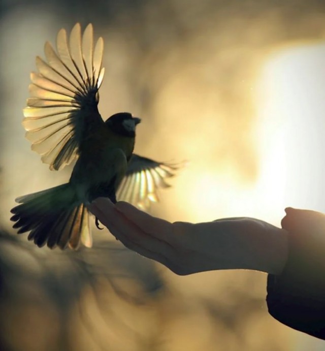 Невзаимная любовь