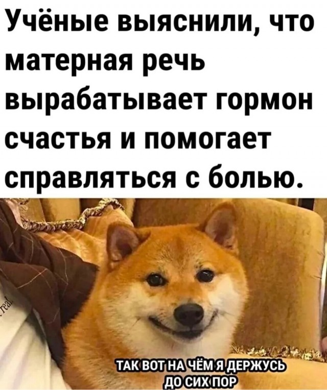 Пятничные картинки