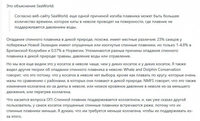 В сети дико орут с трейлера нового хоррора про косатку-убийцу — но не из-за сюжета