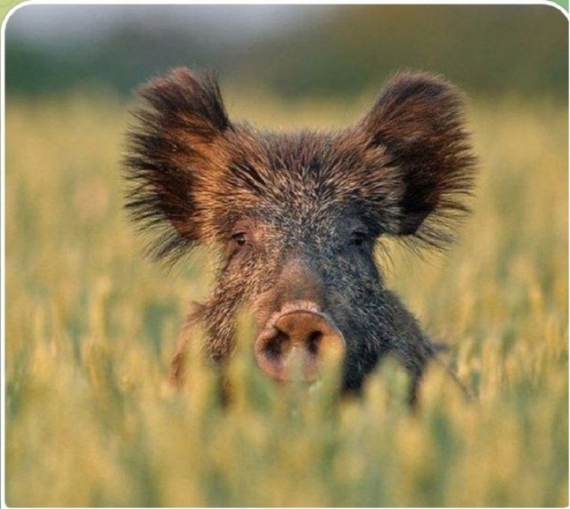 Так себе картинки 28.02.26