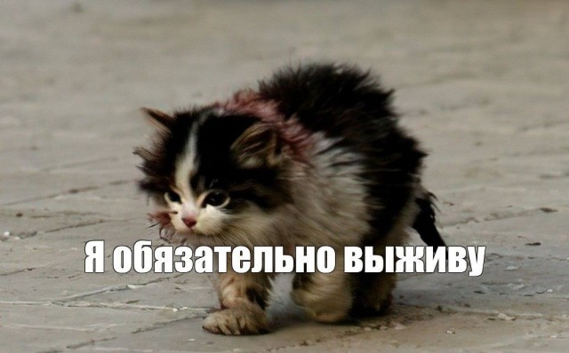 Рунет просел в два раза за последние годы