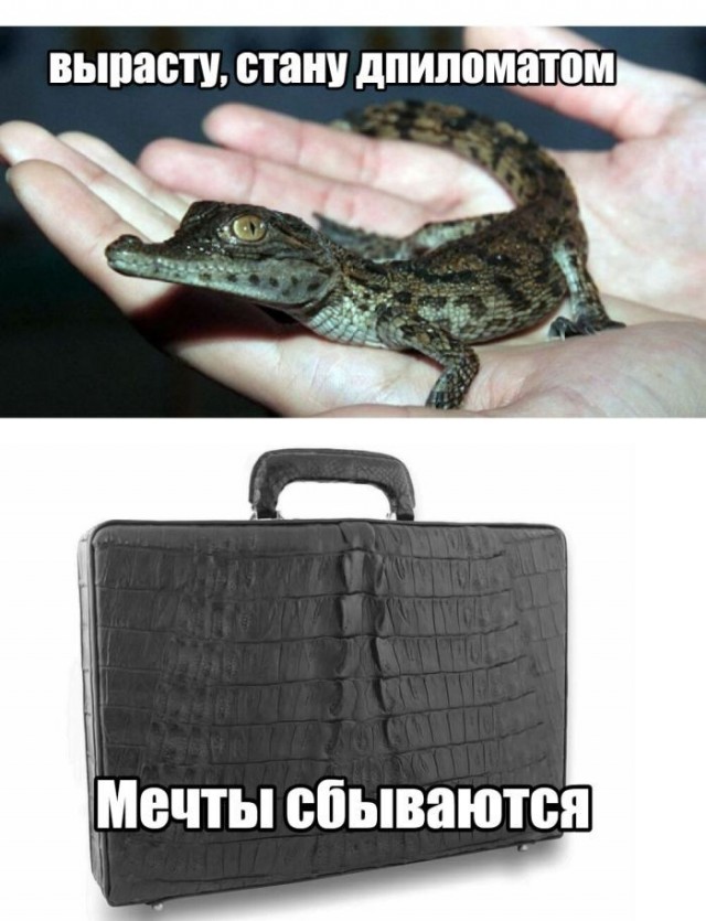 Картинки для деградации 217 (разной степени свежести)