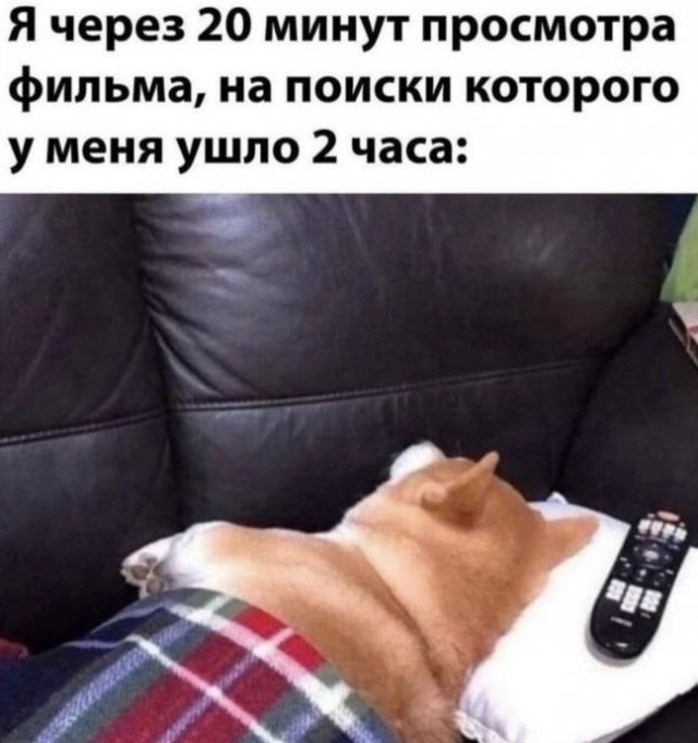 Картиночки, баянчики 25 июня