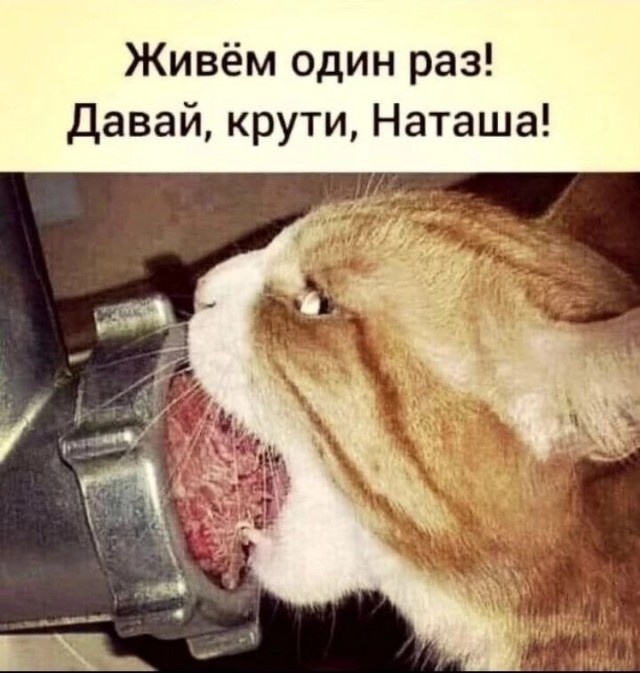 Картиночки, баянчики 26 июня