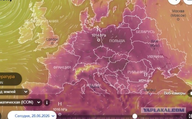 Аномальная жара обрушилась на Европу