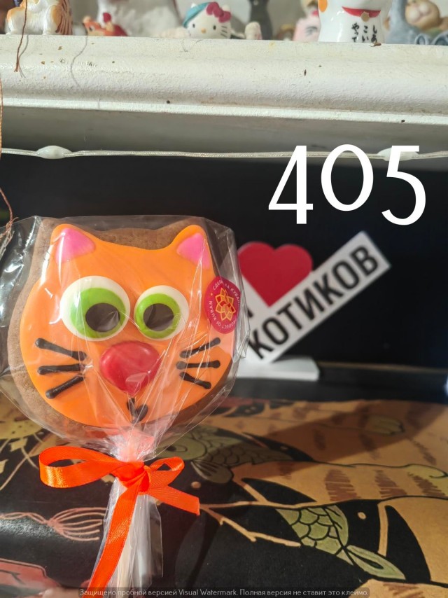 Жизнь домашнего приюта "Котоленд" 553