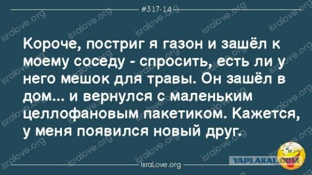 Веселые картинки в маленькую пятницу (05.08)
