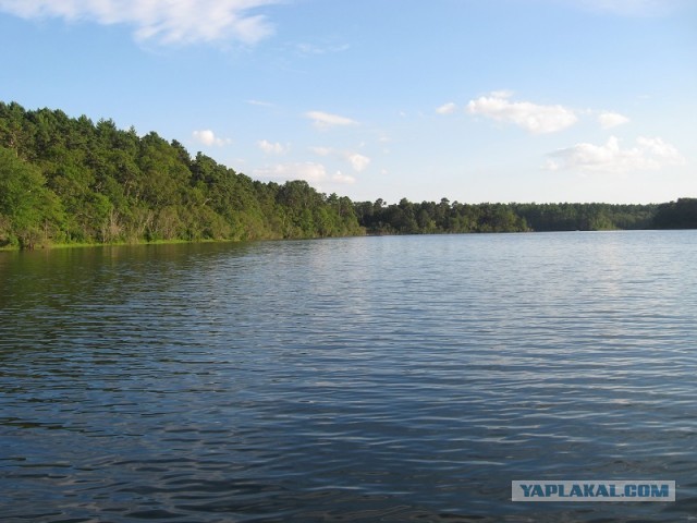 Деревенская Америка