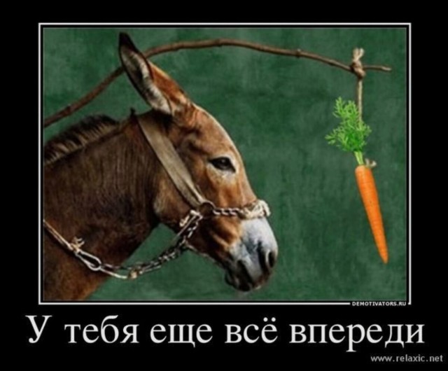 Снова про морковки от Озон