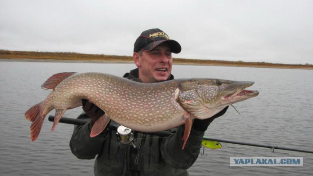 Отец съездил на рыбалку!