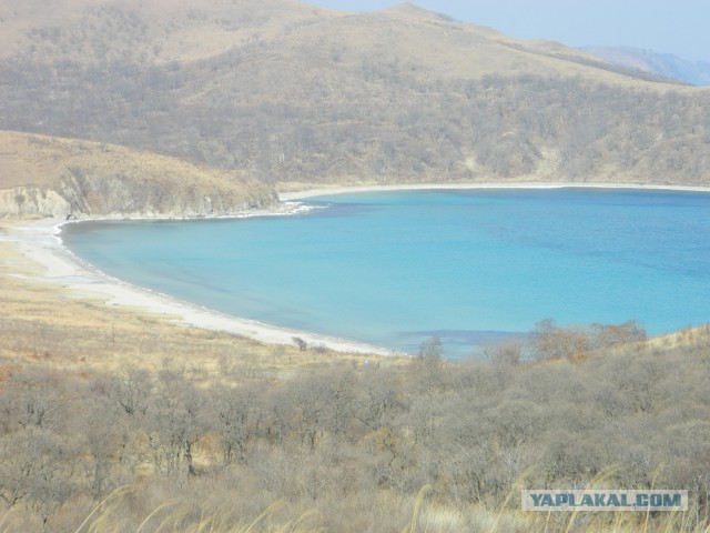 Природа Приморского края