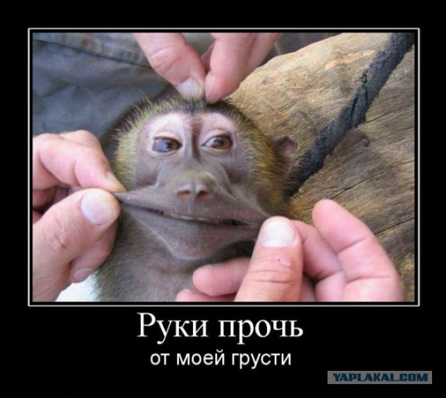 Подборка смешных картинок :)