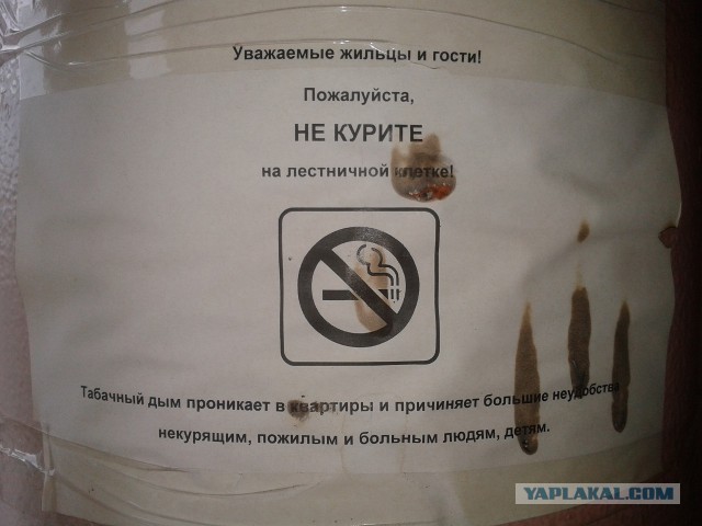Последнее фото с Вашего телефона.