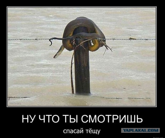 Демотиваторов пост, добавляйте свои