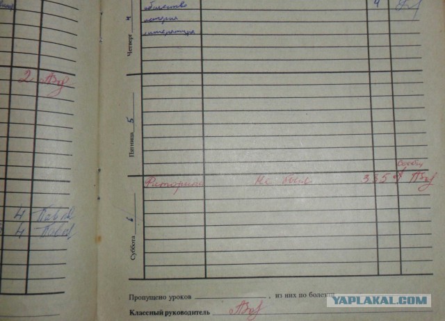 Мои школьные дневники 1-11 класс