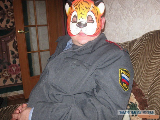 Два плотника попали под раздачу СОБРа