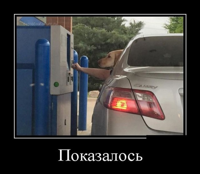 Веселости или типо того